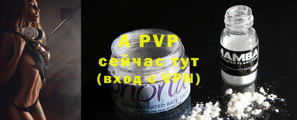 apvp Новозыбков