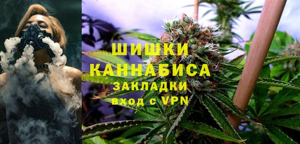 apvp Новозыбков