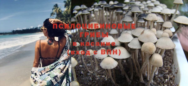 наркотики Новодвинск